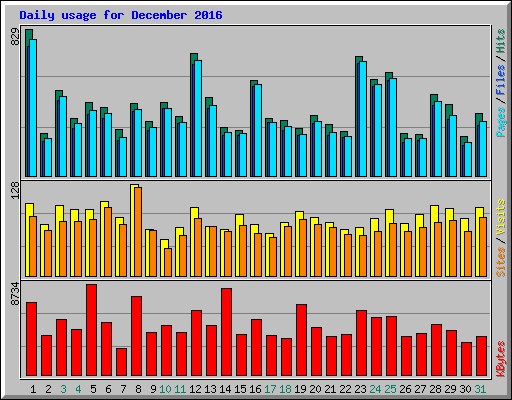 Daily usage for December 2016