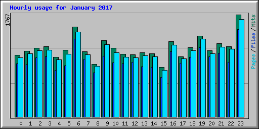 Hourly usage for January 2017