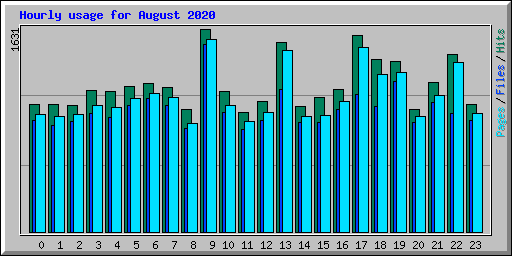 Hourly usage for August 2020