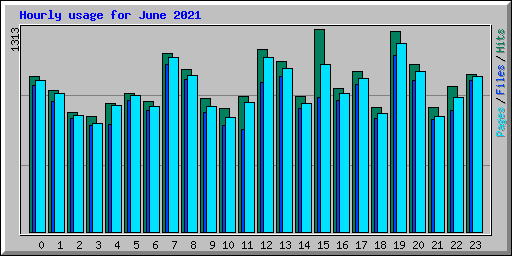 Hourly usage for June 2021